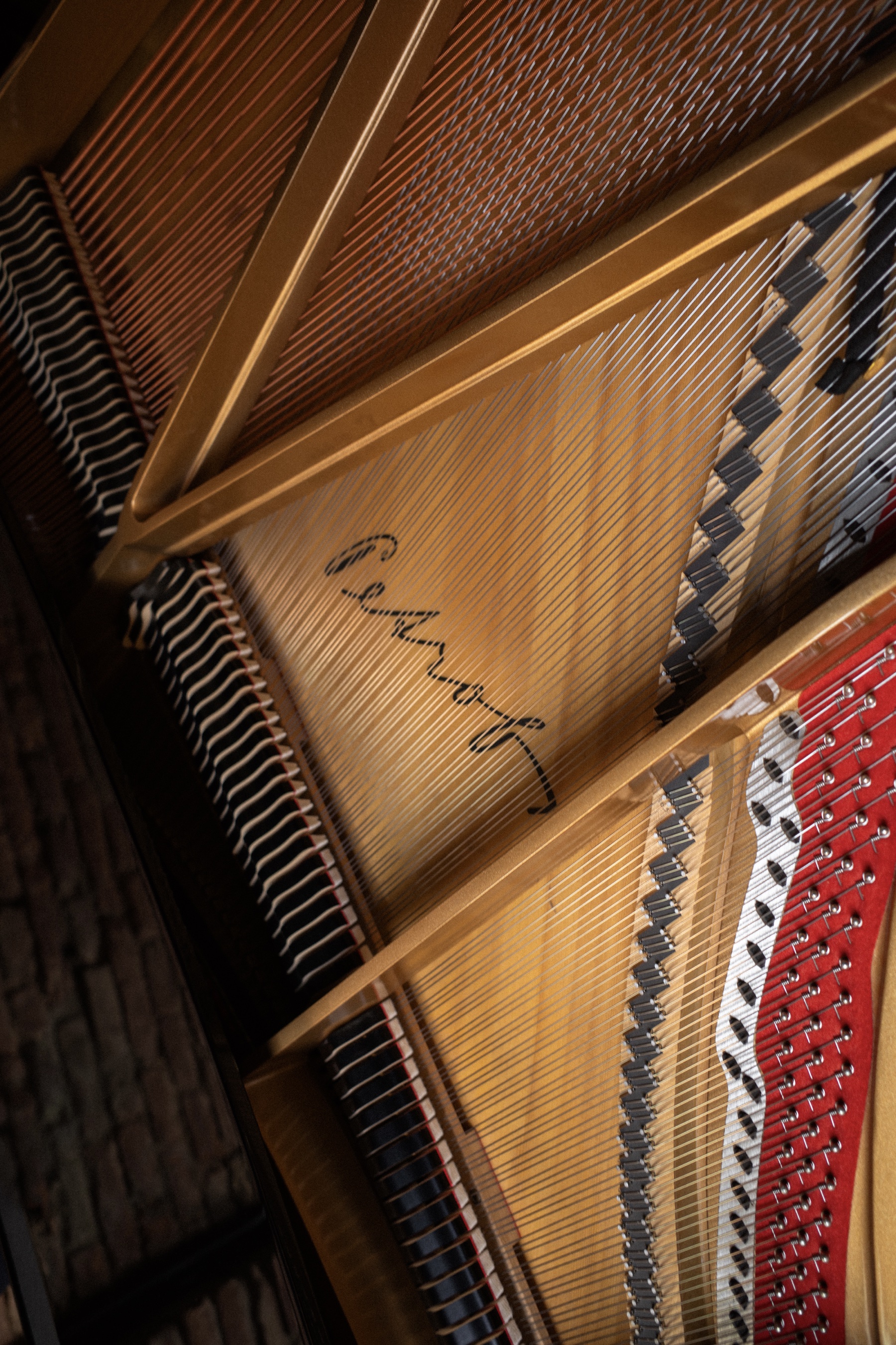 Detail of the strings and soundboard inside the Petrof piano